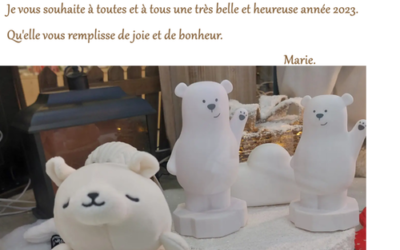 Bonne et heureuse année 2023