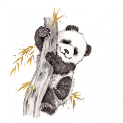 Carte double - CL3816 - Panda - Phénicia