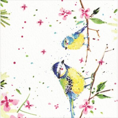 Carte double - Oiseaux - Louise Mulgrew - MO07 - Phénicia