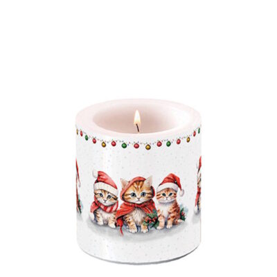 Bougie de Noël - Petit format - Funny cute kittens - Ambiente Europe B.V