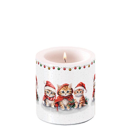 Bougie de Noël - Petit format - Funny cute kittens - Ambiente Europe B.V