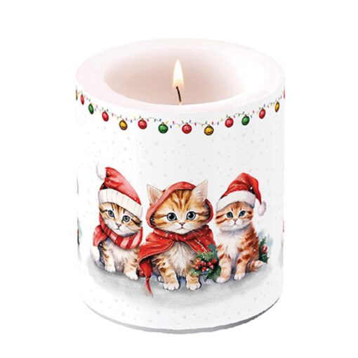 Bougie de Noël - Moyen format - Funny cute kittens - Ambiente Europe B.V